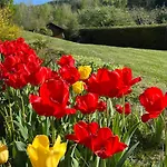 בית נופש Nouveau, Rdvosges 5 Chambres, Jardin, Calme, Proche Gerardmer Ban-sur-Meurthe-Clefcy