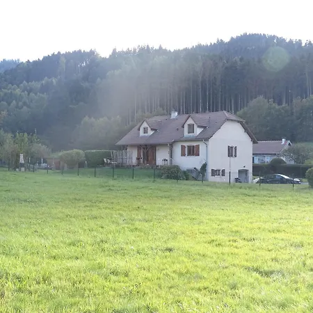 Nouveau, Rdvosges 5 Chambres, Jardin, Calme, Proche Gerardmer 別荘 *