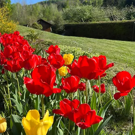 Casa vacanze Nouveau, Rdvosges 5 Chambres, Jardin, Calme, Proche Gerardmer Ban-sur-Meurthe-Clefcy