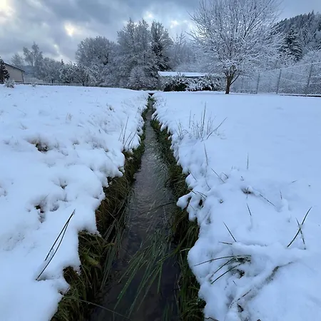 別荘 Nouveau, Rdvosges 5 Chambres, Jardin, Calme, Proche Gerardmer Ban-sur-Meurthe-Clefcy