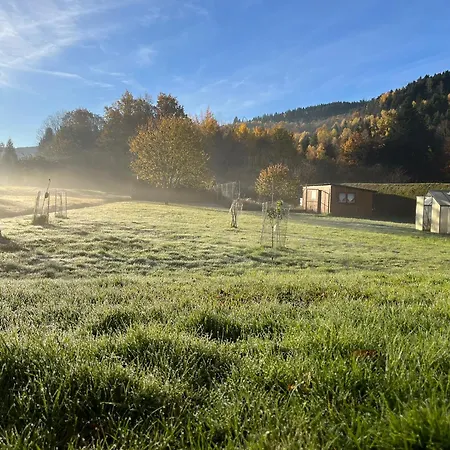 Prázdninový dům Nouveau, Rdvosges 5 Chambres, Jardin, Calme, Proche Gerardmer