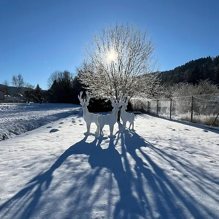 Nouveau, Rdvosges 5 Chambres, Jardin, Calme, Proche Gerardmer Holiday home Ban-sur-Meurthe-Clefcy