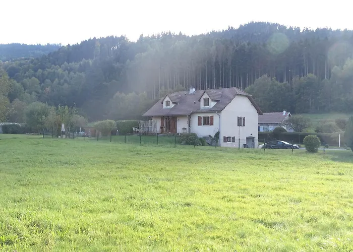 Nouveau, Rdvosges 5 Chambres, Jardin, Calme, Proche Gerardmer Holiday home *