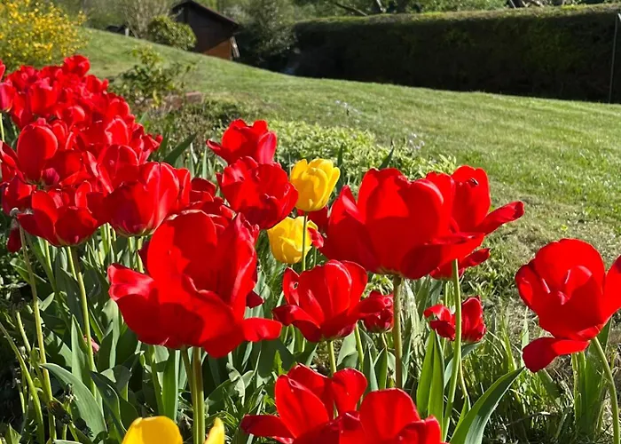 Holiday home Nouveau, Rdvosges 5 Chambres, Jardin, Calme, Proche Gerardmer Ban-sur-Meurthe-Clefcy