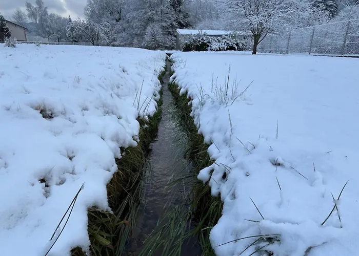 Prázdninový dům Nouveau, Rdvosges 5 Chambres, Jardin, Calme, Proche Gerardmer Ban-sur-Meurthe-Clefcy