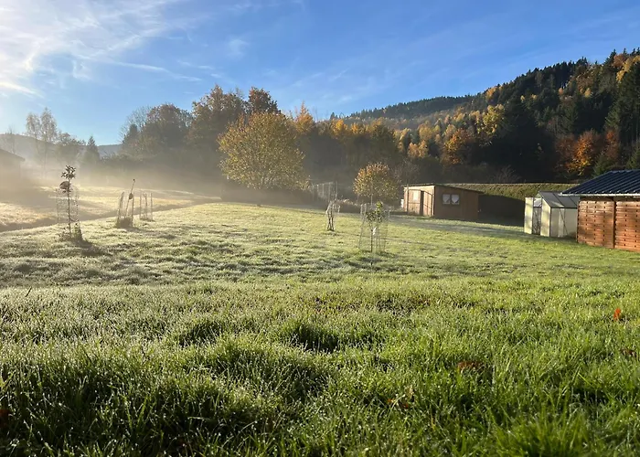 Holiday home Nouveau, Rdvosges 5 Chambres, Jardin, Calme, Proche Gerardmer