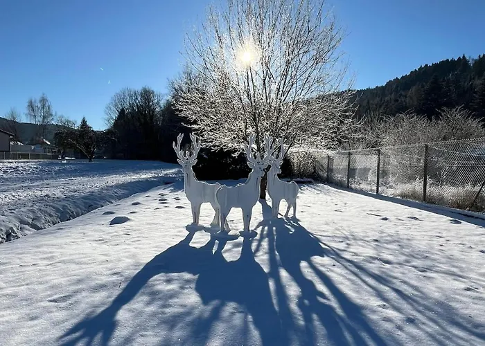 Nouveau, Rdvosges 5 Chambres, Jardin, Calme, Proche Gerardmer Prázdninový dům Ban-sur-Meurthe-Clefcy
